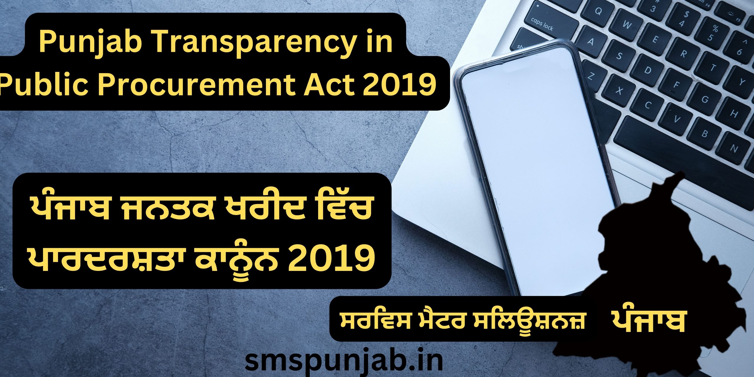 THE PUNJAB TRANSPARENCY IN PUBLIC PROCUREMENT ACT, 2019
